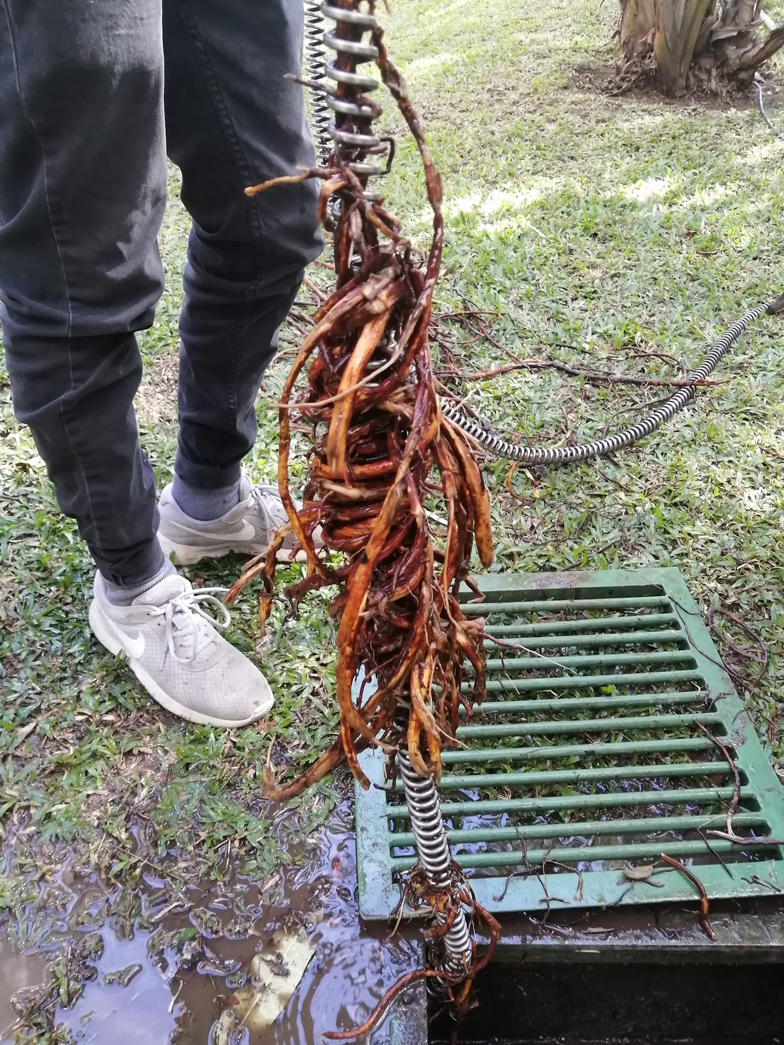 Destaqueo e Inspección de Tuberías de Desagüe